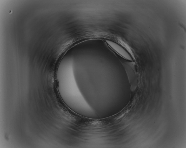 X0000091910059200709191328