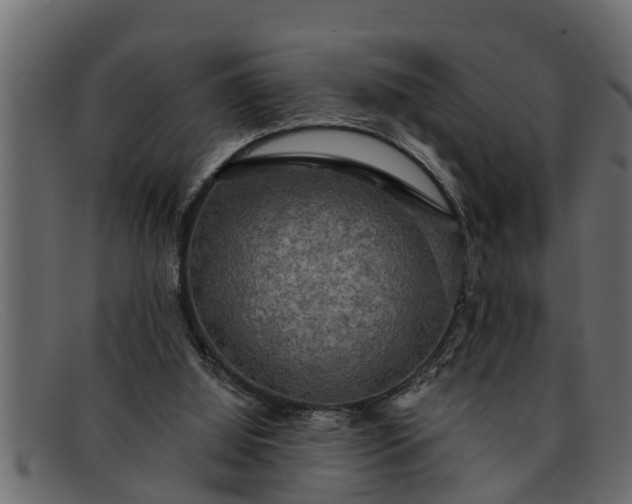 X0000091910060200709191328