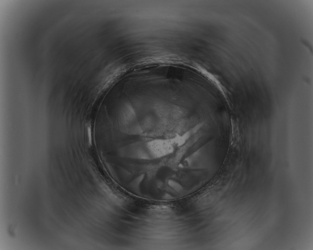 X0000091910061200709191328