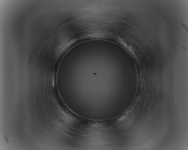 X0000091910062200709191328