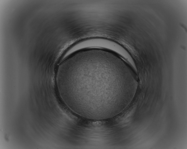 X0000091910064200709191328