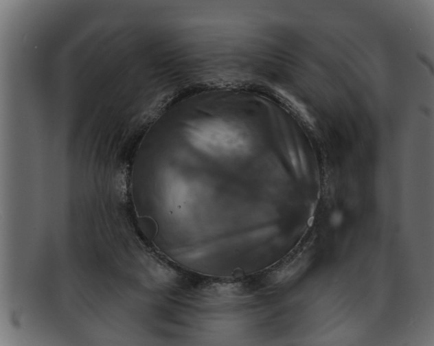 X0000091910065200709191328