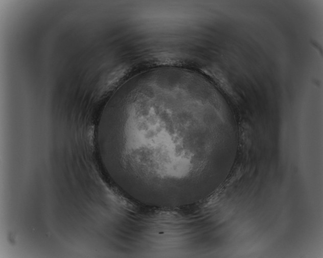 X0000091910066200709191328