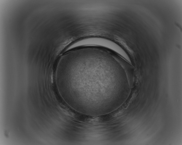 X0000091910068200709191328