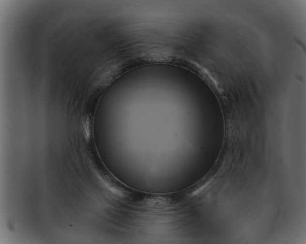 X0000091910069200709191328