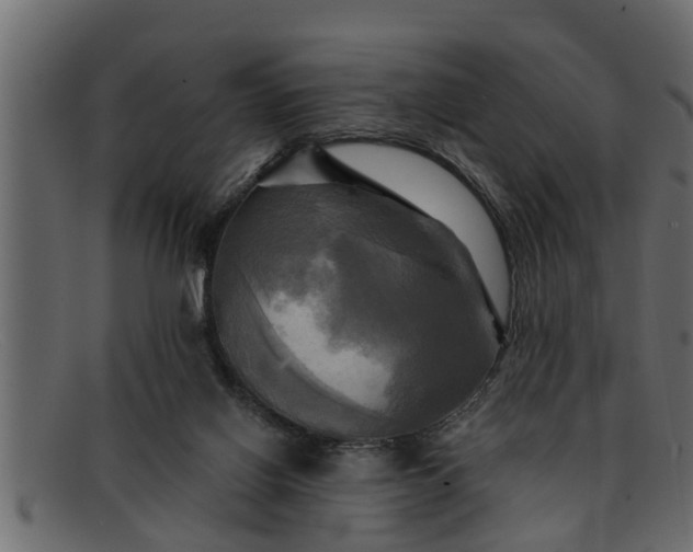 X0000091910070200709191328