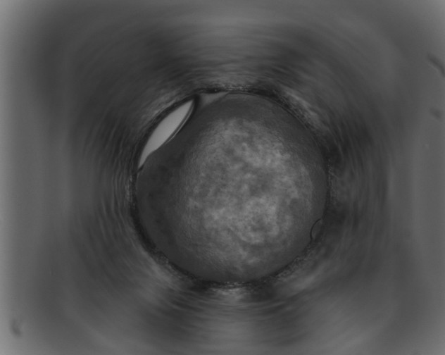 X0000091910071200709191328