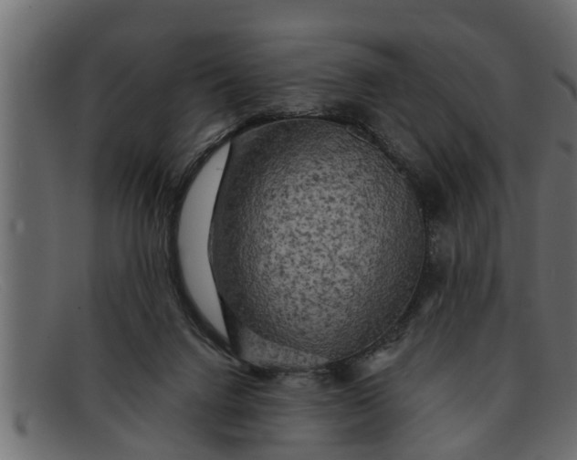 X0000091910072200709191328