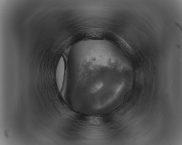 X0000091910073200709191328