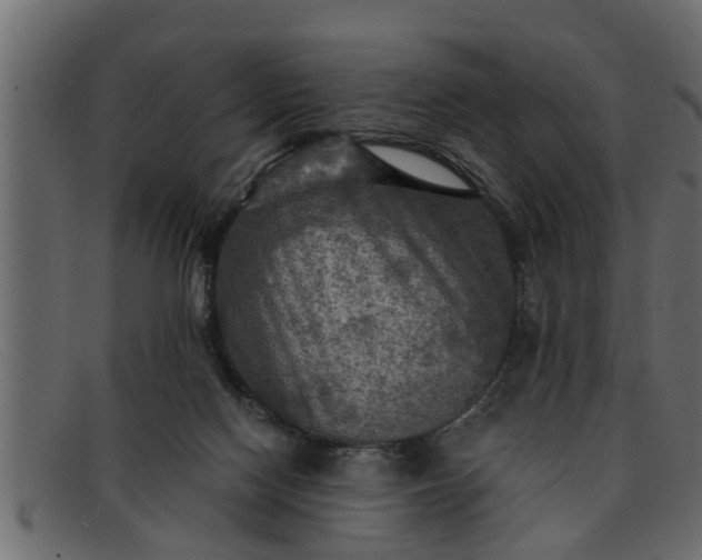 X0000091910074200709191328