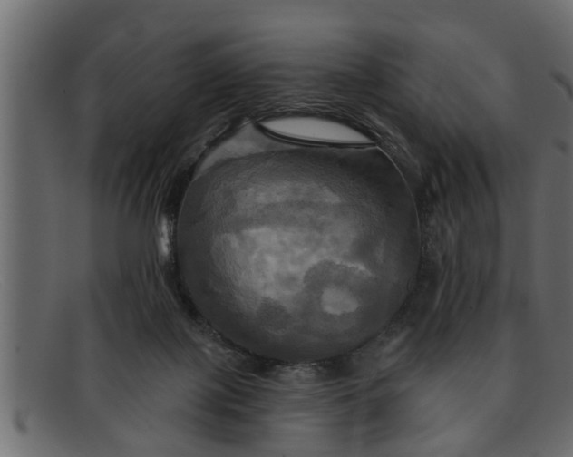 X0000091910075200709191328