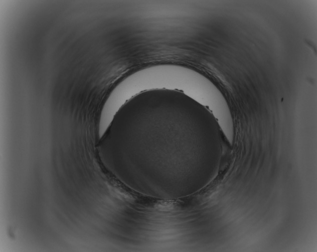 X0000091910076200709191328