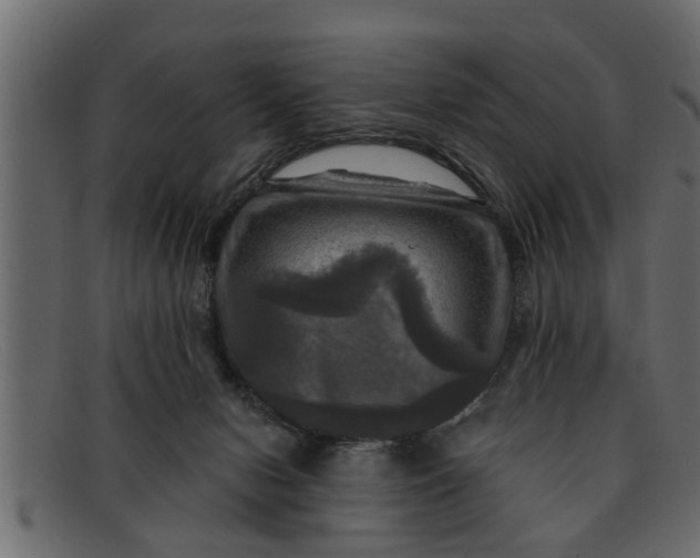 X0000091910078200709191328