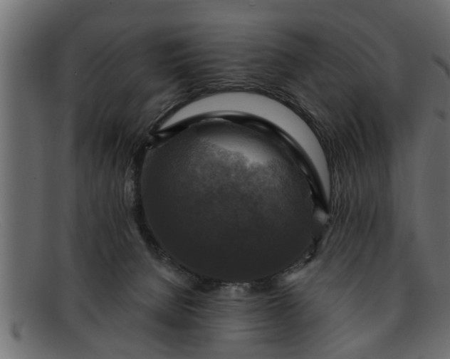 X0000091910080200709191328