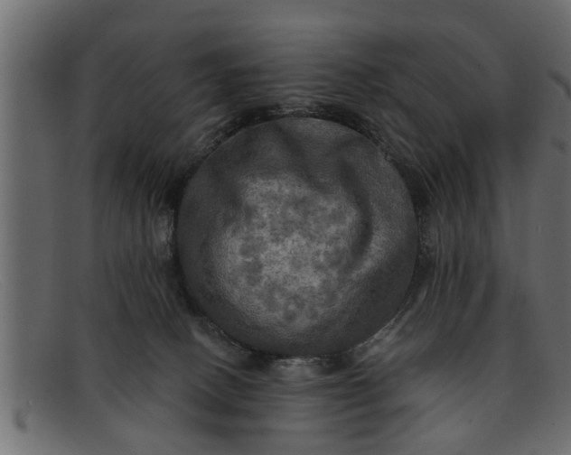 X0000091910082200709191328