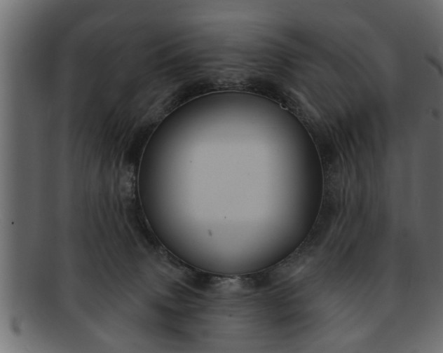 X0000091910083200709191328