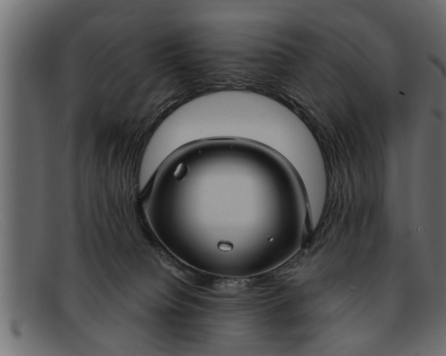 X0000091910084200709191328