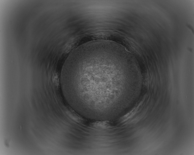 X0000091910086200709191328