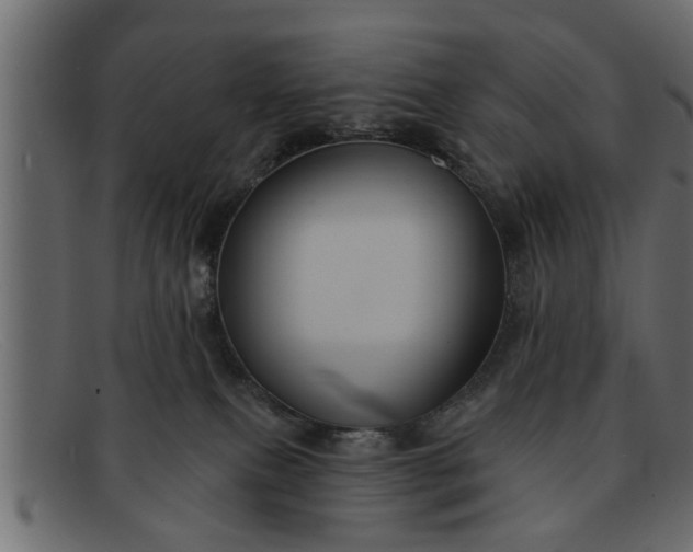 X0000091910087200709191328