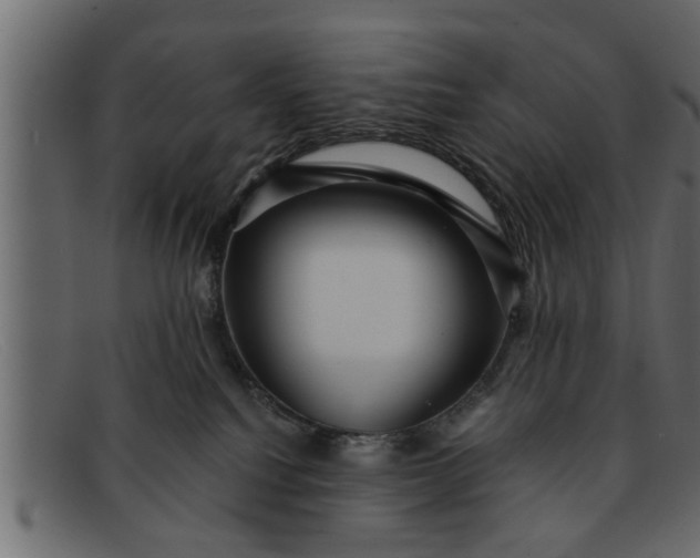 X0000091910088200709191328