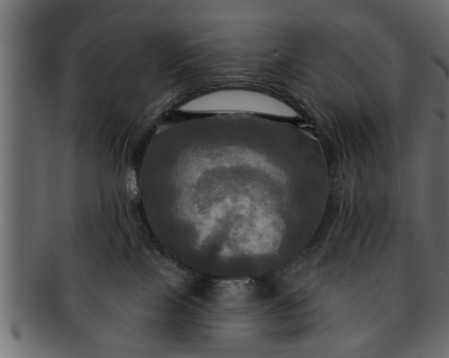 X0000091910089200709191328