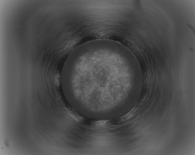 X0000091910090200709191328