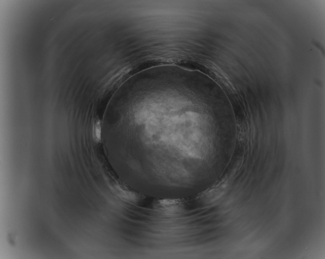 X0000091910095200709191328