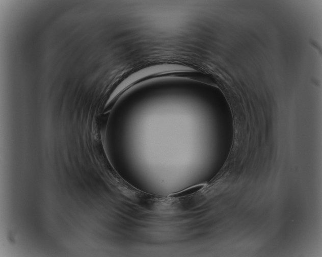 X0000091910096200709191328