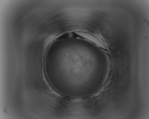 X0000091910097200709191328