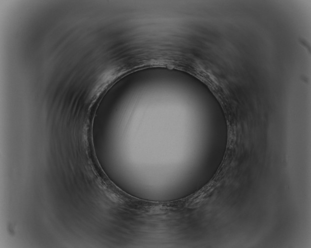 X0000091910098200709191328