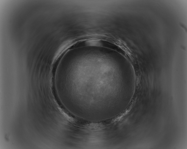 X0000091910101200709191328