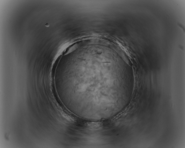 X0000091910102200709191328