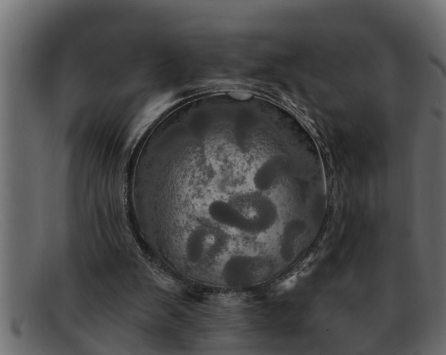 X0000091910103200709191328