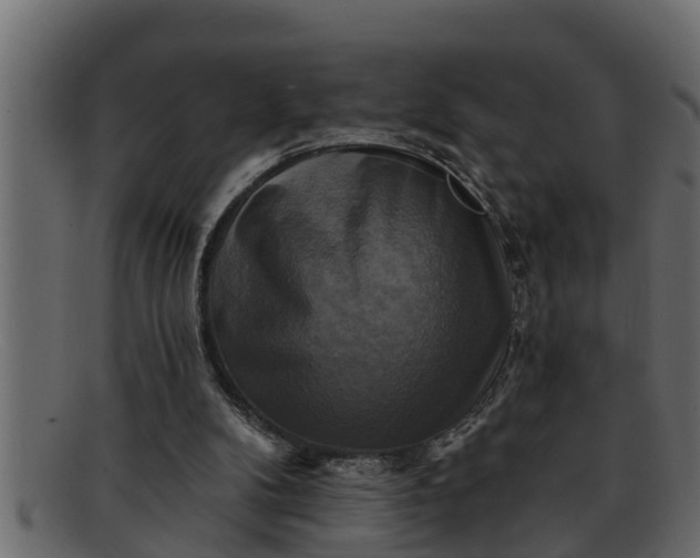 X0000091910104200709191328