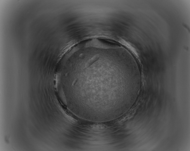 X0000091910105200709191328