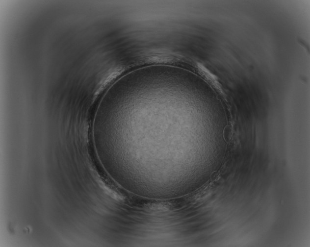 X0000091910106200709191328