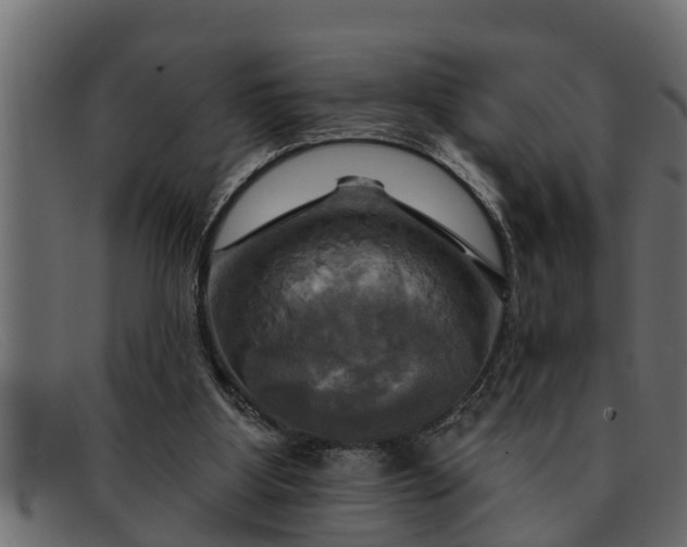 X0000091910107200709191328