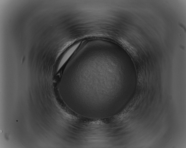 X0000091910112200709191328