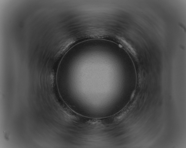 X0000091910113200709191328