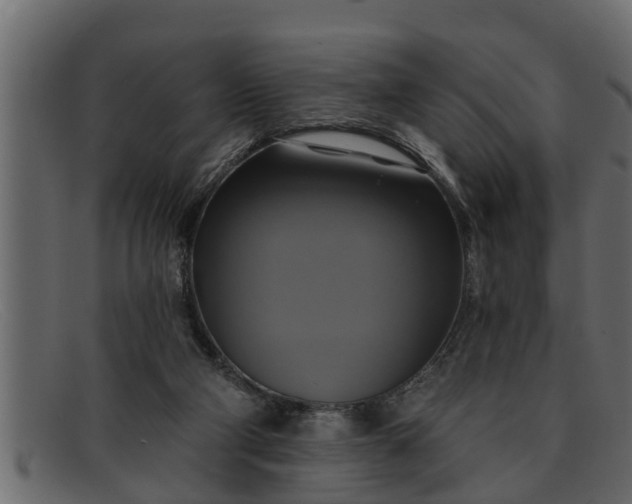 X0000091910114200709191328