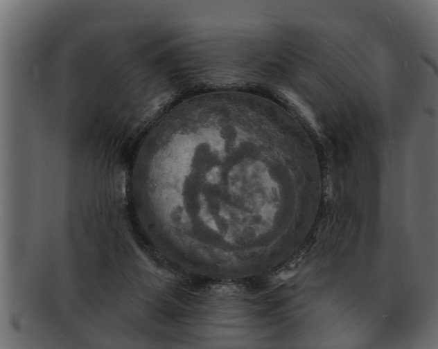 X0000091910115200709191328