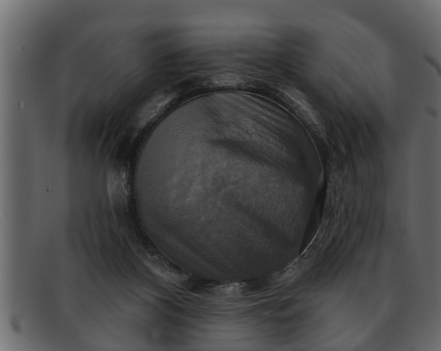 X0000091910116200709191328