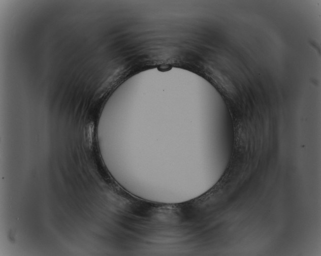 X0000091910118200709191327