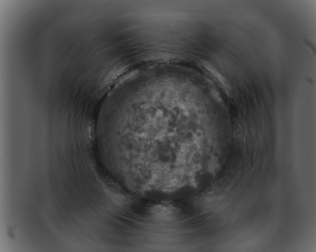 X0000091910119200709191327