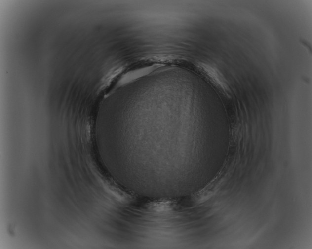 X0000091910120200709191327