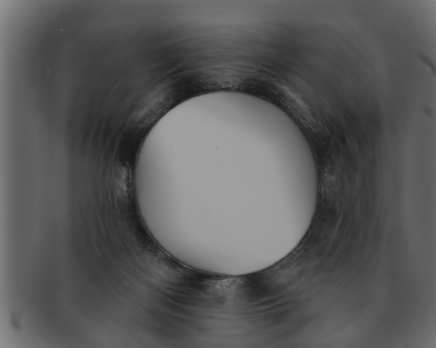 X0000091910122200709191327