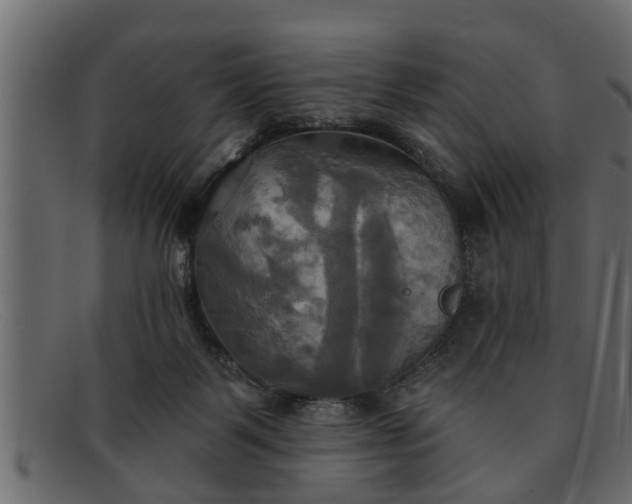 X0000091910123200709191327