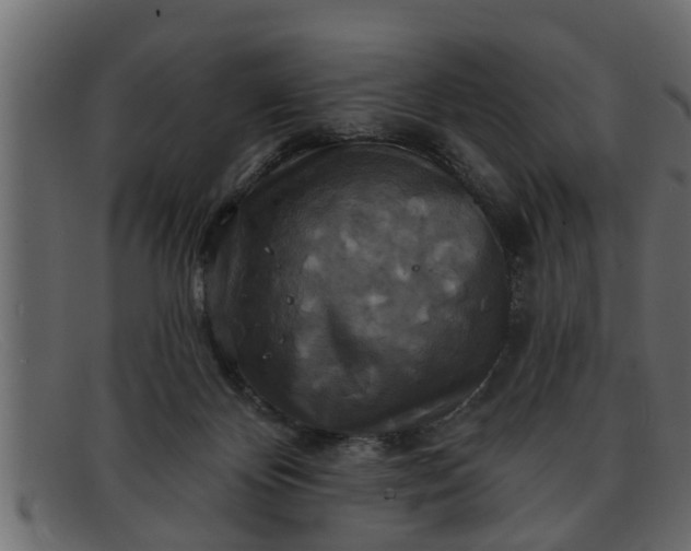 X0000091910124200709191327