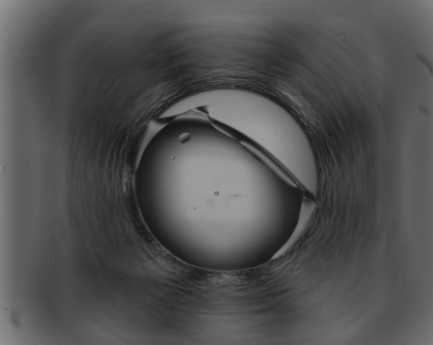 X0000091910125200709191327