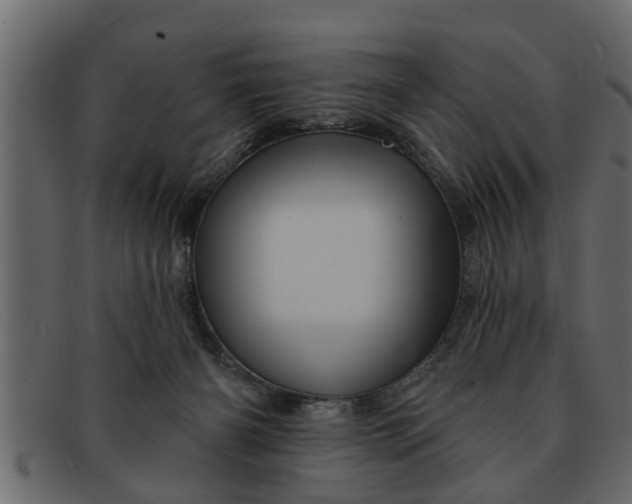 X0000091910126200709191327